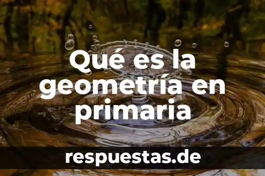 Qué es la geometría plana el significado 7 Qué es la geometría en primaria