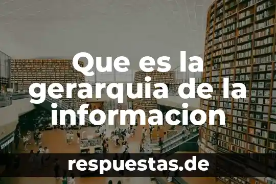 Qué es bit de información 3 Que es la gerarquia de la informacion