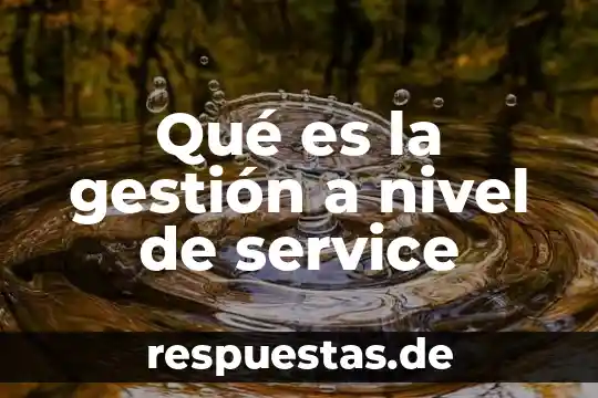 Qué es la gestión a nivel de service