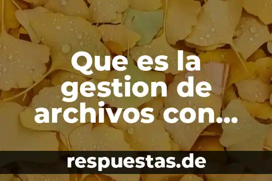 Que es la gestion de archivos con interfaz grafica