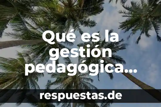 Qué es la gestión pedagógica según Laura Pitluk