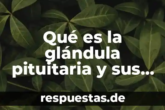 Qué es la glándula pituitaria y sus funciones