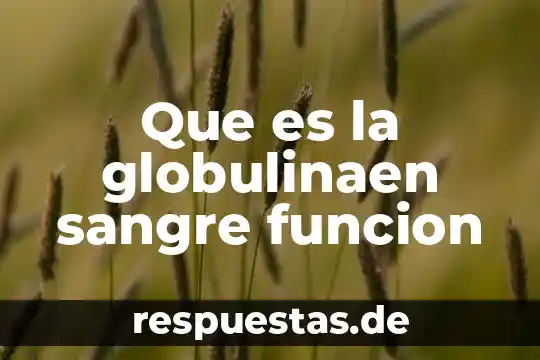 Que es un eclipse solar luna sangre 6 Que es la globulinaen sangre funcion