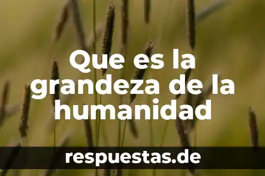 Que es número de matrícula universitaria 5 Que es la grandeza de la humanidad