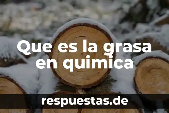 Qué es el flujo de energía en la antropología ecológica 5 Que es la grasa en quimica