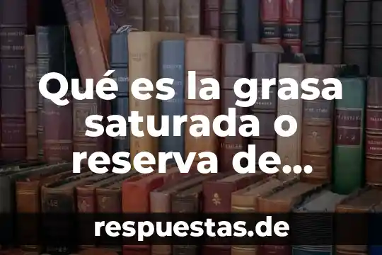 Qué es la grasa saturada o reserva de energía