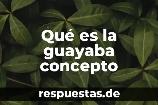 Qué es un faltante de caja concepto 6 Qué es la guayaba concepto