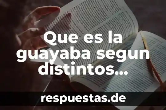 Que es contabilidad significado de algunos autores 3 Que es la guayaba segun distintos autores