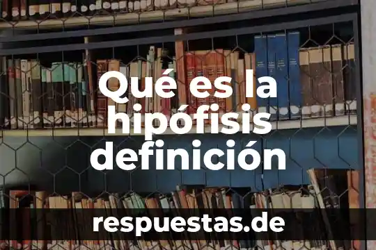 Qué es hipófisis definición 4 Qué es la hipófisis definición