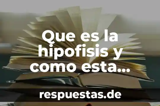 Qué es hipófisis definición 5 Que es la hipofisis y como esta formada