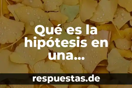 Que es una hipotesis en un proyecto de investigacion 8 Qué es la hipótesis en una investigación científica