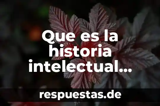 Que es la historia ahora canadie david 3 Que es la historia intelectual ahora annabel puntos importantes