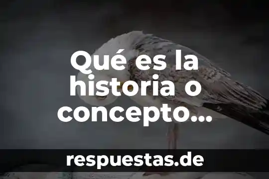 Concepto que es iva 7 Qué es la historia o concepto histórico