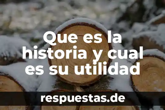 Qué es el concepto de utilidad en economía 3 Que es la historia y cual es su utilidad