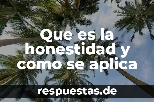 Que es un zink en arquitectura 6 Que es la honestidad y como se aplica