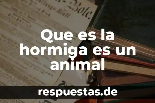 Que es una cigarra animal 3 Que es la hormiga es un animal