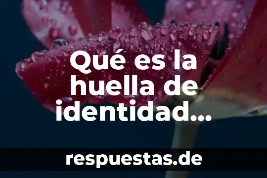Museo digital que es 5 Qué es la huella de identidad digital