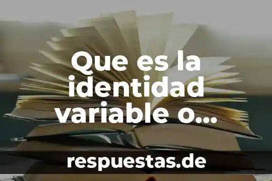 Que es la composición de funciones 3 Que es la identidad variable o conclusion organizativa