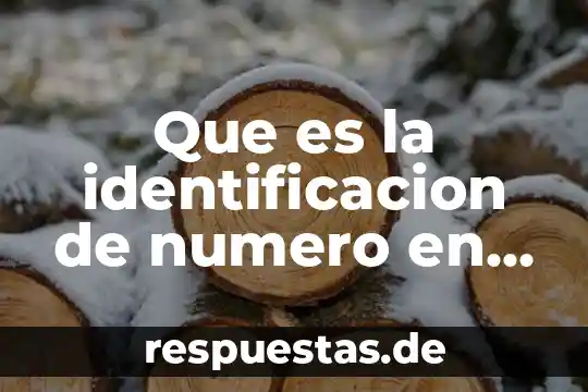 Número de identificación oficial que es 4 Que es la identificacion de numero en preescolar