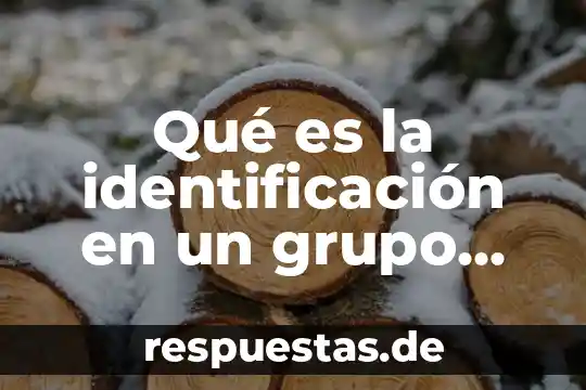 Que es un movimiento social coyuntural 6 Qué es la identificación en un grupo social