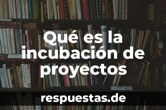 Que es la evaluacion de proyectos educativos 3 Qué es la incubación de proyectos