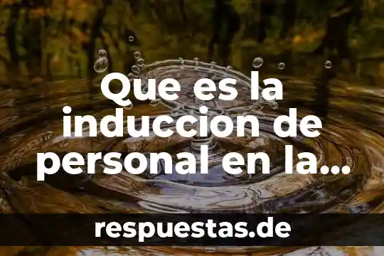 Qué es la sociedad civil organización gubernamental 8 Que es la induccion de personal en la organizacion