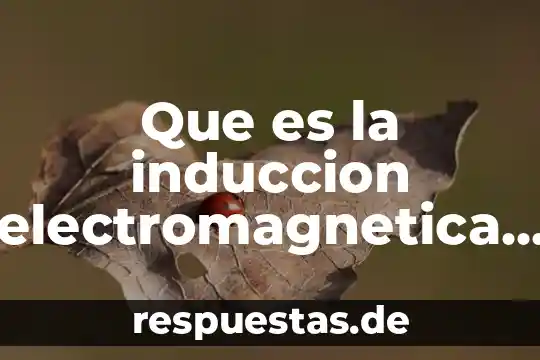 Qué es tesorería definición 4 Que es la induccion electromagnetica definicion