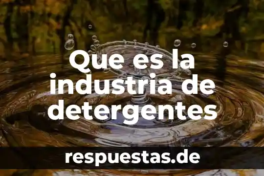 Que es una industria sintética 8 Que es la industria de detergentes