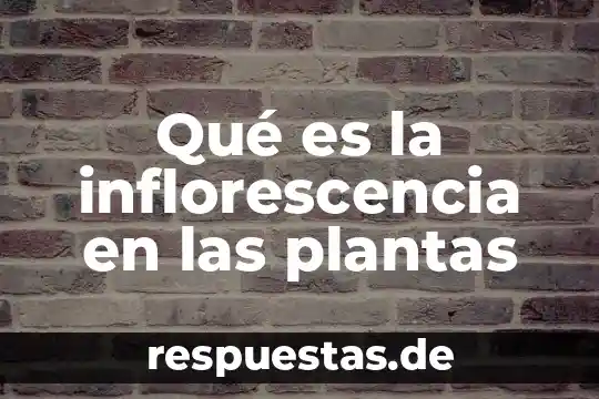 Que es el significado de de la biolojia 8 Qué es la inflorescencia en las plantas