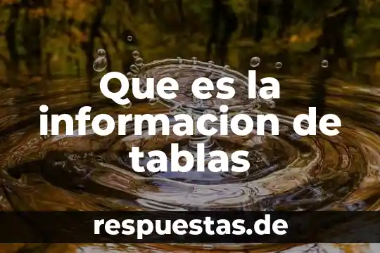 Que es la gerarquia de la informacion 4 Que es la informacion de tablas
