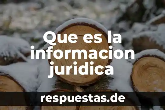 Que es recuperar la informacion sin perderel significado original 4 Que es la informacion juridica