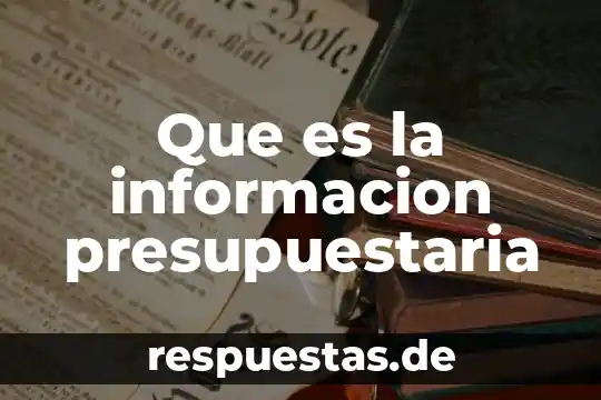 Que es la informacion presupuestaria