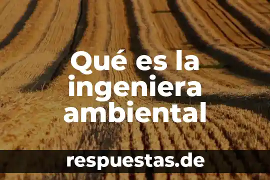 Que es manejo ambiental 8 Qué es la ingeniera ambiental