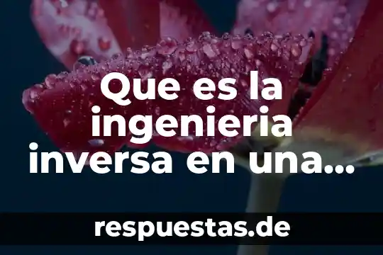 Qué es el razonamiento común 4 Que es la ingenieria inversa en una investigacion