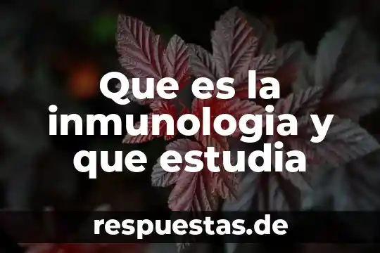 Que es un credito a distribuidor 5 Que es la inmunologia y que estudia