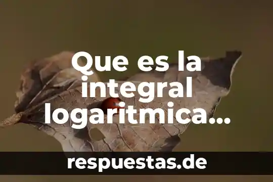 Que es el sobrepeso concepto 3 Que es la integral logaritmica concepto