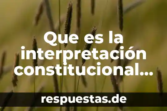 Que es principio constitucional yahoo 4 Que es la interpretación constitucional en mexico