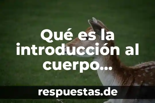 ¿Qué es el ser humano? 6 Qué es la introducción al cuerpo humano