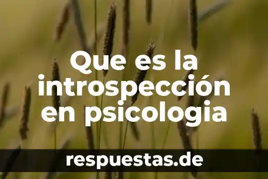 Que es realidad en psicologia 7 Que es la introspección en psicologia