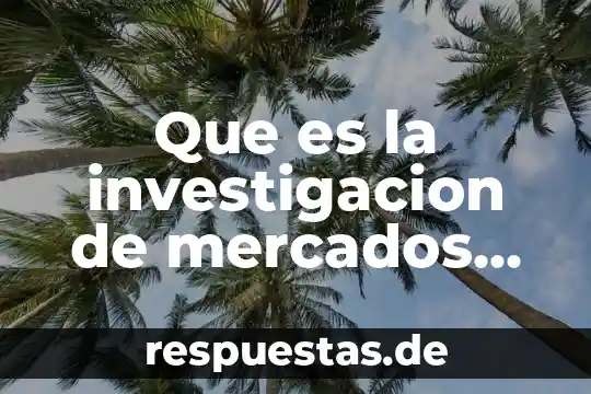 Que es la investigacion de mercados concepto de libro