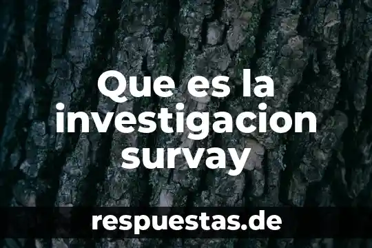 Que es impresionismo en una investigación 3 Que es la investigacion survay