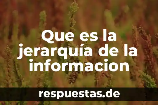 Que es la gerarquia de la informacion 6 Que es la jerarquía de la informacion