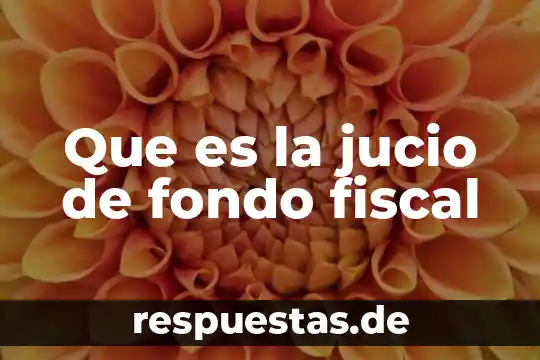 Dibujo sobre que es la sociedad de fondo una ciudad 3 Que es la jucio de fondo fiscal