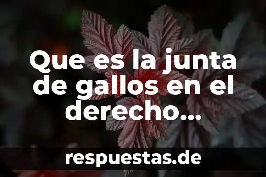 Que es la condemnation en derecho romano 4 Que es la junta de gallos en el derecho romano