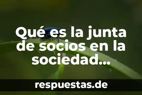 Qué es quorum estatutario en derecho mercantil 7 Qué es la junta de socios en la sociedad mercantil