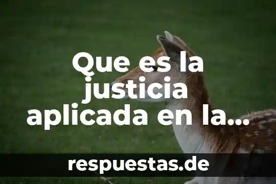 Que es recoleccion de residuos en salud 7 Que es la justicia aplicada en la salud