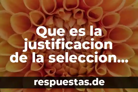 Que es la justificacion del tema de un proyecto 7 Que es la justificacion de la seleccion de un programa