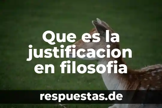 Que es la filosofia animal 6 Que es la justificacion en filosofia