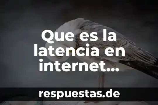 Que es venmo mexico 5 Que es la latencia en internet mexico izzi