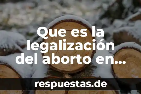 Palabras para decir que es el carnaval en mexico 5 Que es la legalización del aborto en méxico